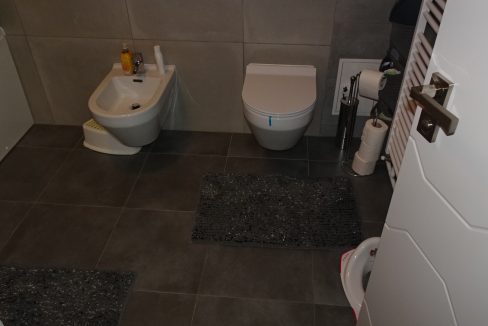 DSC03535