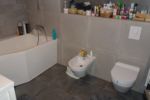 DSC03536