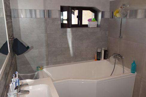 DSC03538